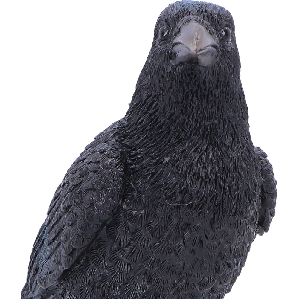 Nevermore Vigil Raven Figurine