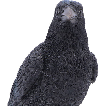 Nevermore Vigil Raven Figurine